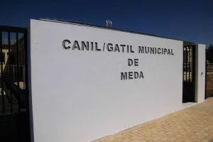 entrada canil
