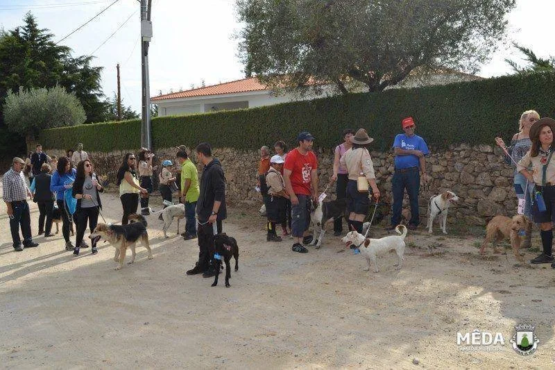 caominhada2015