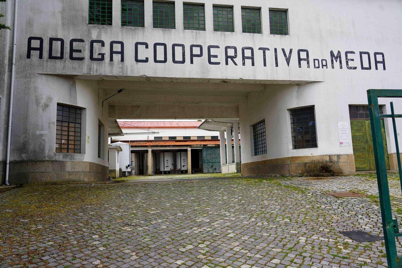 adega cooperativa meda 1 scaled