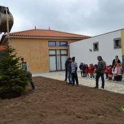 dia da arvore 2016 10