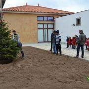 dia da arvore 2016 11