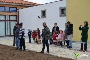 dia da arvore 2016 12