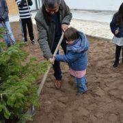 dia da arvore 2016 13