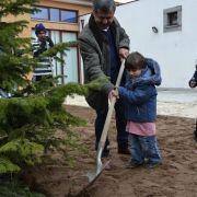 dia da arvore 2016 14