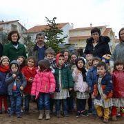 dia da arvore 2016 17