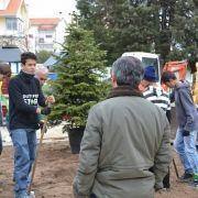 dia da arvore 2016 8