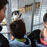 ferias desportivas pascoa 2016 14