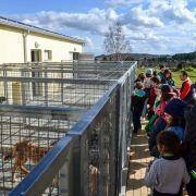 ferias desportivas pascoa 2016 17