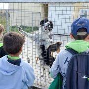 ferias desportivas pascoa 2016 19