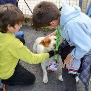 ferias desportivas pascoa 2016 20