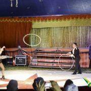 circo 2016 11