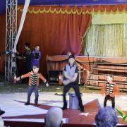 circo 2016 19