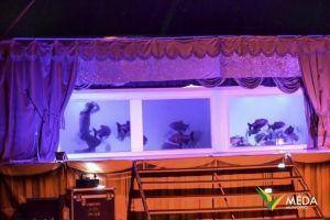 circo 2016 43