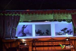 circo 2016 44