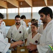 estagio karate 2016 12