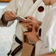 estagio karate 2016 15