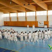estagio karate 2016 3