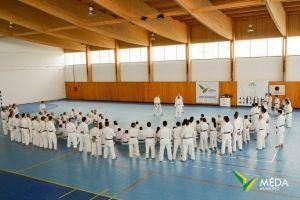 estagio karate 2016 3