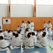 estagio karate 2016 5
