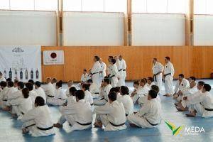 estagio karate 2016 5