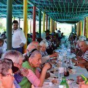 santos populares com os idosos do concelho 2016 13