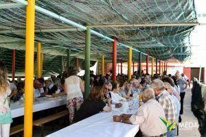 santos populares com os idosos do concelho 2016 21