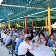 santos populares com os idosos do concelho 2016 22