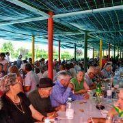 santos populares com os idosos do concelho 2016 26