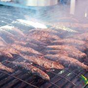 santos populares com os idosos do concelho 2016 27