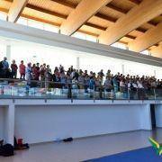 santos populares com os idosos do concelho 2016 3