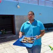 santos populares com os idosos do concelho 2016 32