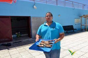santos populares com os idosos do concelho 2016 32