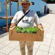 santos populares com os idosos do concelho 2016 33