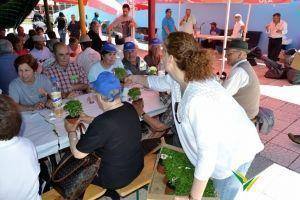santos populares com os idosos do concelho 2016 34