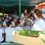 santos populares com os idosos do concelho 2016 35