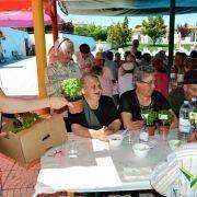 santos populares com os idosos do concelho 2016 37