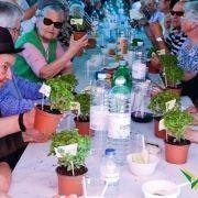 santos populares com os idosos do concelho 2016 38