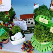 santos populares com os idosos do concelho 2016 42