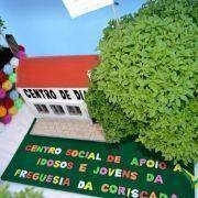 santos populares com os idosos do concelho 2016 43