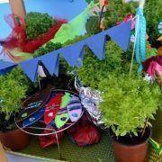 santos populares com os idosos do concelho 2016 46