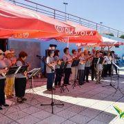 santos populares com os idosos do concelho 2016 47