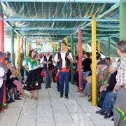 santos populares com os idosos do concelho 2016 66
