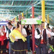 santos populares com os idosos do concelho 2016 67