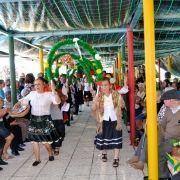 santos populares com os idosos do concelho 2016 84