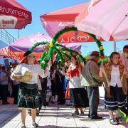 santos populares com os idosos do concelho 2016 90