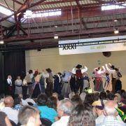 xxi festival folcloreo 249