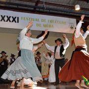 xxi festival folcloreo 335