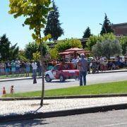 pericia automovel 2016 111