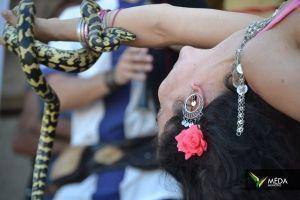 mercado medieval marialva sabado 2017 54