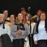 32 festival folclore meda 146